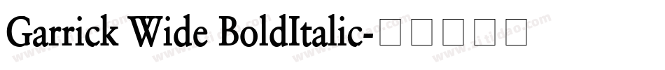 Garrick Wide BoldItalic字体转换